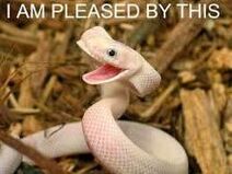 this is how i feel when i get a tablate