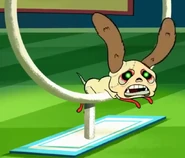 20200918 165222.jpg (95 KB)