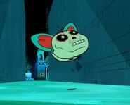 20210119 110101.jpg (98 KB)