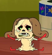 20200918 164827.jpg (77 KB)