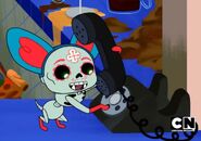 20200917 184450.jpg (125 KB)