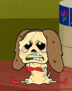 20200918 164813.jpg (64 KB)