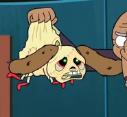 20200918 165106.jpg (81 KB)