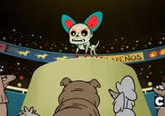 20200918 175454.jpg (117 KB)