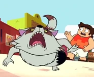 20200909 010506.jpg (105 KB)