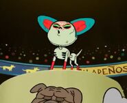 20200918 175552.jpg (55 KB)