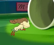 20200918 165442.jpg (42 KB)