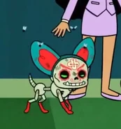 20200918 171103.jpg (34 KB)