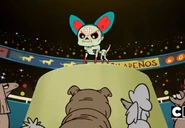 20200918 175443.jpg (117 KB)