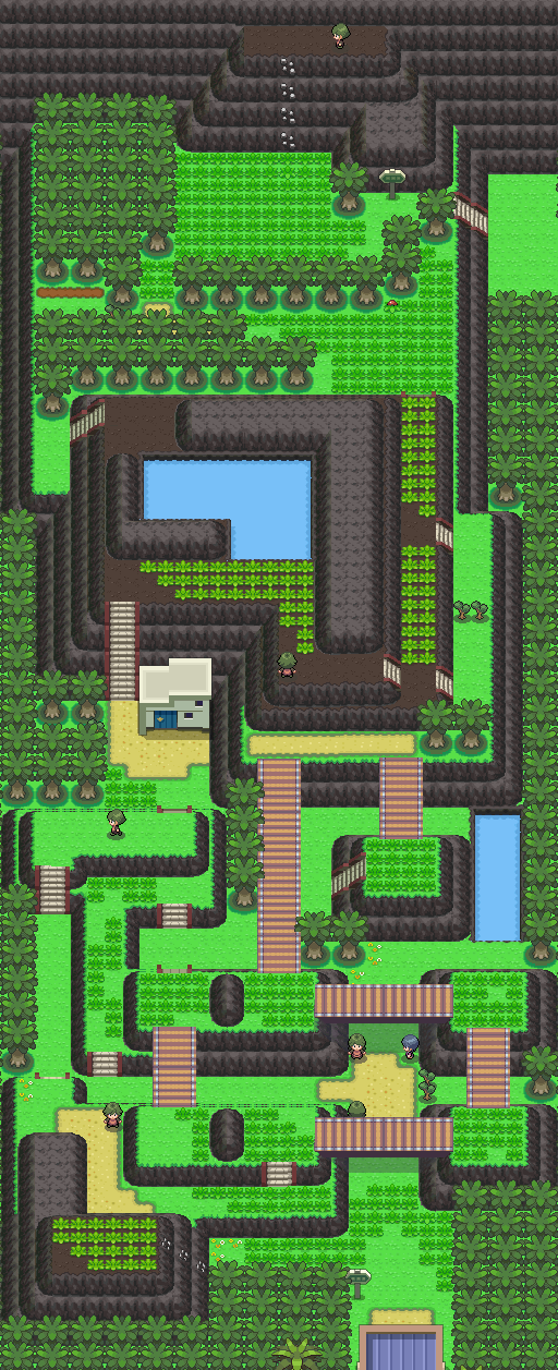 Sinnoh Route 212 - PokeMMO Wiki