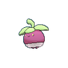 Bounsweet, Victory Road Wiki