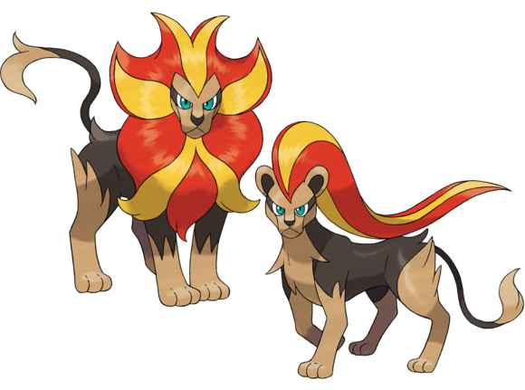 Todo Dia um Pokémon Diferente on X: 668-🇧🇷Pyroar 🇯🇵Kaenjishi Nome  Sugerido no Brasil:Pirugido Região:Kalos Tipo:🟠Fogo,⚫Normal Altura: 1.5 m  Peso: 81.5 kg  / X