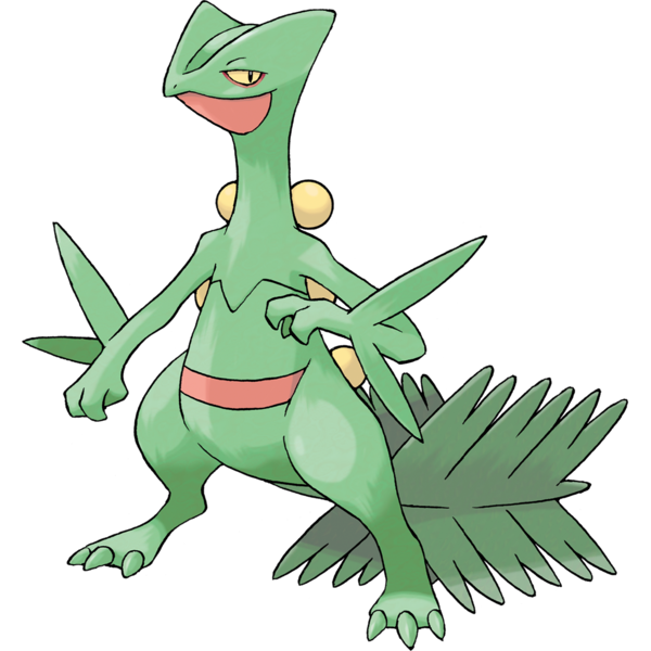 Grovyle, Victory Road Wiki