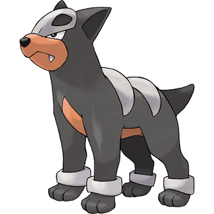 Mega Houndoom, Victory Road Wiki