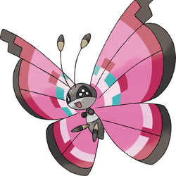 Toxel, Victory Road Wiki