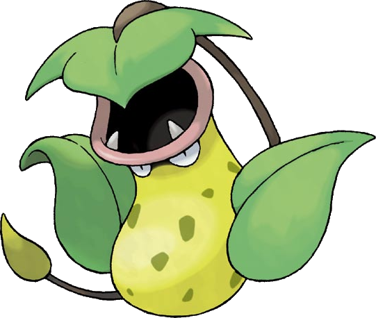 Bellsprout, Victory Road Wiki