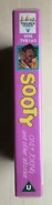 Spine