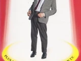 The Amazing Adventures of Mr. Bean
