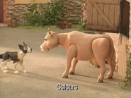 Colours Title Card.jpeg (143 KB)