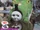 Thomas The Tank Engine and Friends - Percy & Harold and Percy Takes the Plunge
