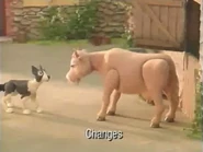 Changes Title Card.jpeg (108 KB)