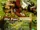 The Wind in the Willows - The 4 Seasons