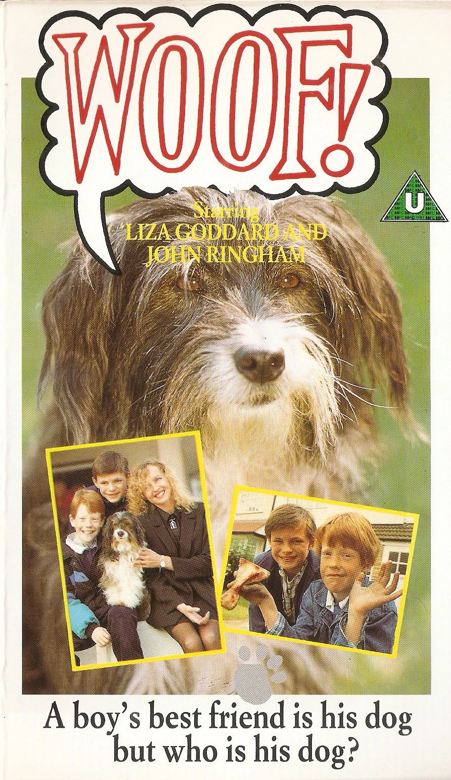 Woof! Video Collection International Wikia Fandom