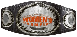 2nd Gurl Gamer Championship Design; Modified WWE Women's Championship.