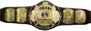 Old VGCW Championship Design; Modified "Winged Eagle" WWF Belt.