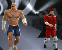 Shadaloo (Tag Team) depicted using WWE 2K14