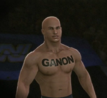 Ganin depicted using WWE 2K14