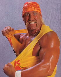Hulk Hogan | Video Game Championship Wrestling Wiki Fandom