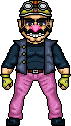 Wario-JR