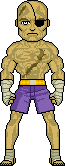 BRICKS Sagat