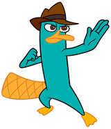 Perry the Platypus