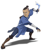 Sokka (1)