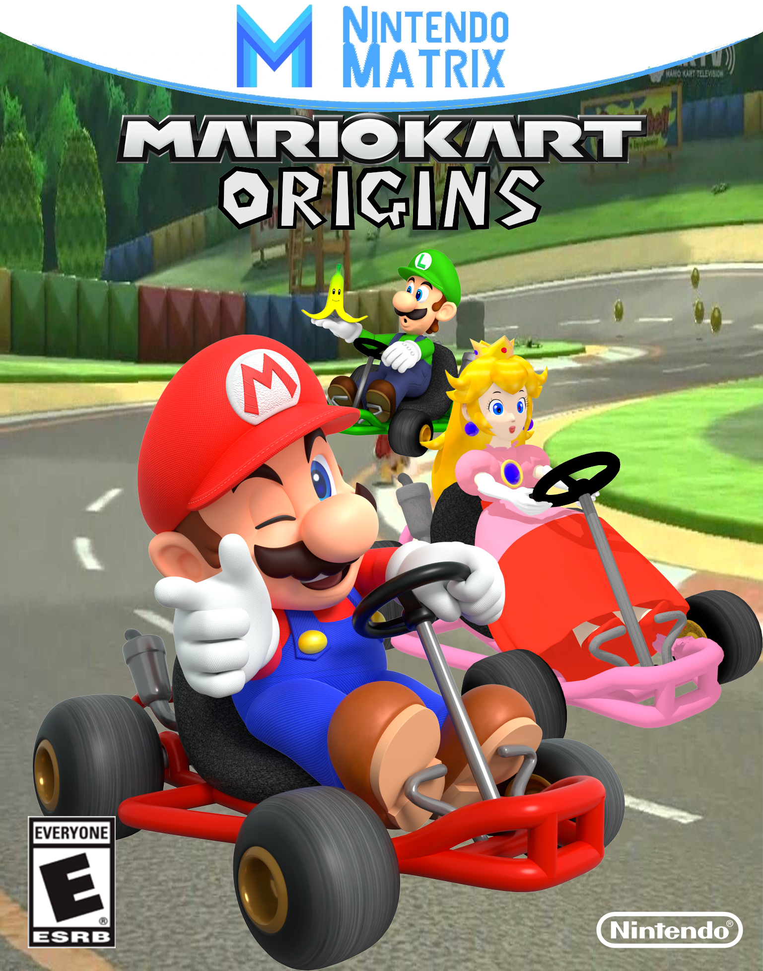 Mario Kart Origins, Video Game Fanon Wiki