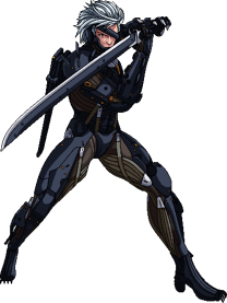 Raiden ssbc