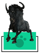 Kazar