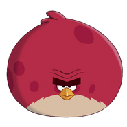 Terence