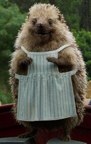 Mrs. Tiggy-Winkle