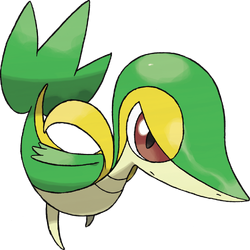 495Snivy