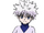 Killua Zoldyck