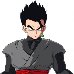 Gohan Black | Videogaming Wiki | Fandom