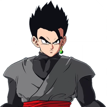 Gohan Black | Videogaming Wiki | Fandom