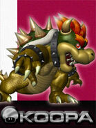 Bowser SSBM