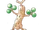 Sudowoodo