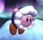 Super Smash Bros Brawl - Kirby Ice Climbers