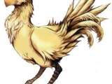 Chocobo