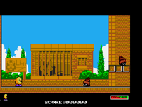 TheNewZealandStoryAmiga2.png (4 kB) Primer nivel